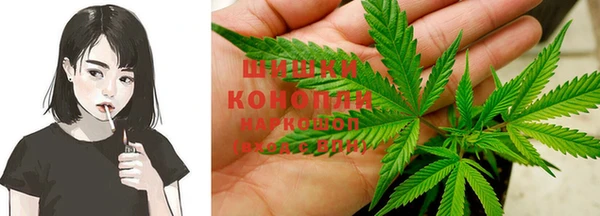 бошки Аркадак