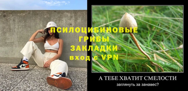 бошки Аркадак