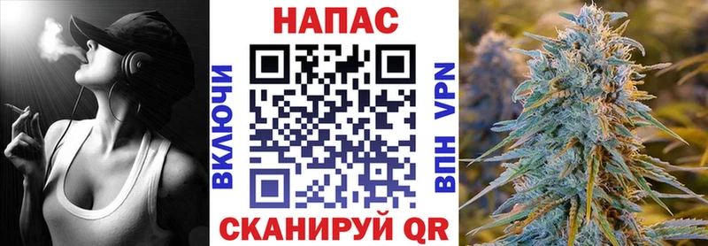 купить наркотики сайты  Опочка  Бошки Шишки OG Kush 